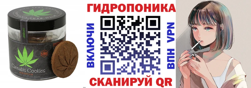 Canna-Cookies конопля  дарнет шоп  Макушино 