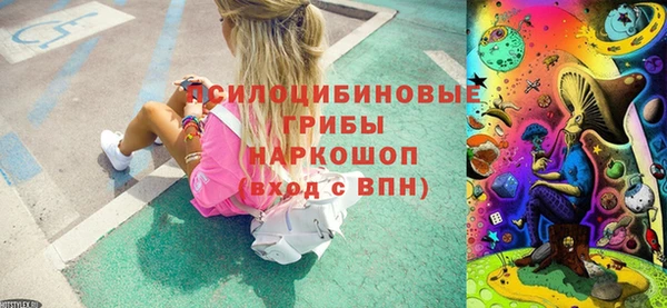 кокс Аркадак