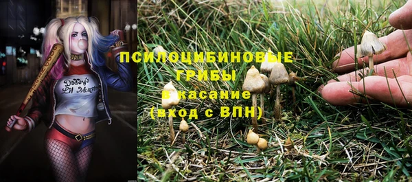первитин Арсеньев