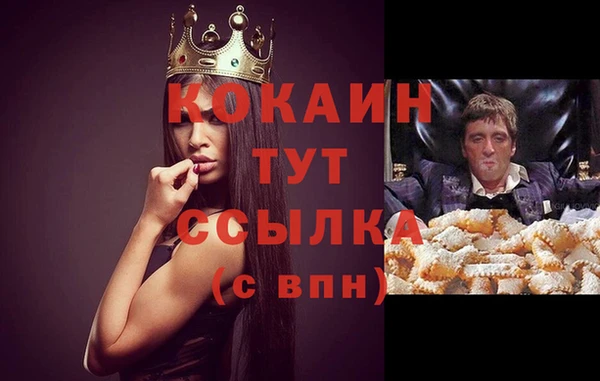 кокс Аркадак